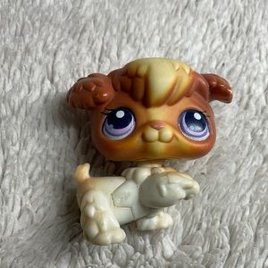 Littlest pet shop #37 Poodle